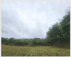  2025Ÿ��3865 ����Ư����ġ�� �屺�� ���븮 102-33       ����(�Ӿ�)���