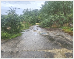  2025Ÿ��3865 ����Ư����ġ�� �屺�� ���븮 102-33       ����(�Ӿ�)���