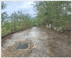  2025Ÿ��3865 ����Ư����ġ�� �屺�� ���븮 102-33       ����(�Ӿ�)���