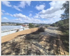  2025Ÿ��3865 ����Ư����ġ�� �屺�� ���븮 102-33       ����(�Ӿ�)���