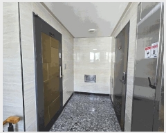  2025Ÿ500384   񷡵 129-4       ٰð