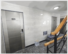  2025Ÿ500384   񷡵 129-4       ٰð