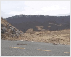  2025Ÿ501853 Ưġ 屺 뱳 79-171       (Ӿ)