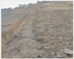  2025Ÿ501853 Ưġ 屺 뱳 79-171       (Ӿ)