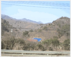  2025Ÿ501877 泲 ݻ걺 ̸  126      (Ӿ)