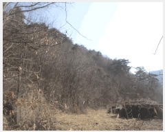  2025Ÿ501877 泲 ݻ걺 ̸  126      (Ӿ)