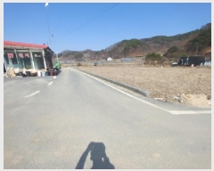  2025Ÿ501877 泲 ݻ걺 ̸  126      (Ӿ)