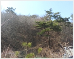  2025Ÿ501877 泲 ݻ걺 ̸  126      (Ӿ)