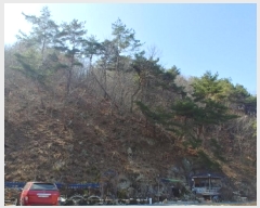  2025Ÿ501877 泲 ݻ걺 ̸  126      (Ӿ)