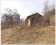  2025Ÿ��501967 ���� ���� �Ǿϵ� 230-11       ����(��1)���