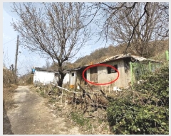  2025Ÿ��501967  �ٸ����ð��