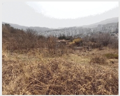  2025Ÿ��501967  �ٸ����ð��