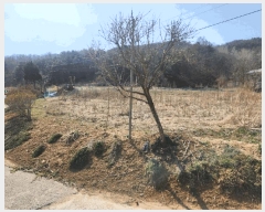  2025Ÿ��502032 �泲 �ݻ걺 ���ϸ� ������ 616      ����(����)���