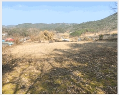  2025Ÿ��502032 �泲 �ݻ걺 ���ϸ� ������ 616      ����(����)���