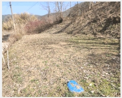  2025Ÿ��502032 �泲 �ݻ걺 ���ϸ� ������ 616      ����(����)���