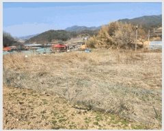  2025Ÿ��502032 �泲 �ݻ걺 ���ϸ� ������ 616      ����(����)���