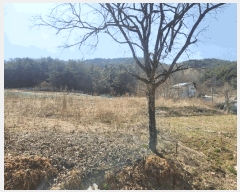  2025Ÿ��502032 �泲 �ݻ걺 ���ϸ� ������ 616      ����(����)���