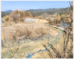  2025Ÿ��502032 �泲 �ݻ걺 ���ϸ� ������ 616      ����(����)���