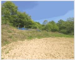  2025Ÿ��502255  �����