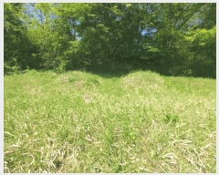  2025Ÿ��502255  �����