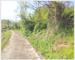  2025Ÿ��502255  �����