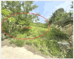  2025Ÿ��502365 ����Ư����ġ�� �屺�� ���븮 102-32       ����(�Ӿ�)���