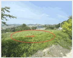  2025Ÿ��502365 ����Ư����ġ�� �屺�� ���븮 102-32       ����(�Ӿ�)���