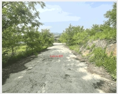  2025Ÿ��502365 ����Ư����ġ�� �屺�� ���븮 102-32       ����(�Ӿ�)���