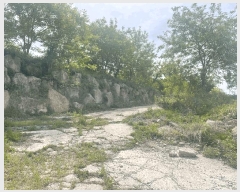  2025Ÿ��502365 ����Ư����ġ�� �屺�� ���븮 102-32       ����(�Ӿ�)���