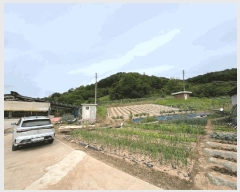  2025Ÿ��502452  �Ӿ߰��