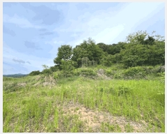  2025Ÿ��502452  �Ӿ߰��