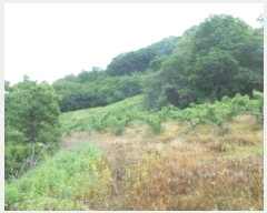  2025Ÿ��502452  �Ӿ߰��