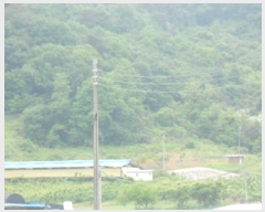  2025Ÿ��502452  �Ӿ߰��