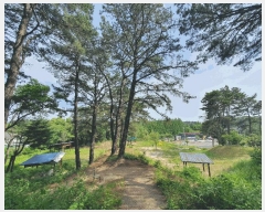  2025Ÿ��502483 ���� ������ �ż��� 375-1       ����(��1)���