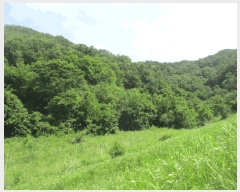  2025Ÿ��502628 �泲 �ݻ걺 ������ ������ 209      ����(��1)���