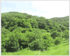  2025Ÿ��502628 �泲 �ݻ걺 ������ ������ 209      ����(��1)���