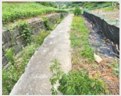  2025Ÿ��502628 �泲 �ݻ걺 ������ ������ 209      ����(��1)���