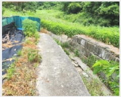  2025Ÿ��502628 �泲 �ݻ걺 ������ ������ 209      ����(��1)���