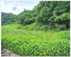  2025Ÿ��502628 �泲 �ݻ걺 ������ ������ 209      ����(��1)���