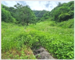  2025Ÿ��502628 �泲 �ݻ걺 ������ ������ 209      ����(��1)���