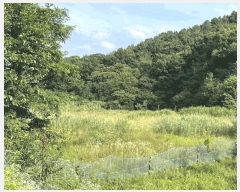  2025Ÿ��502787  ����