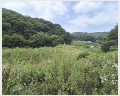  2025Ÿ��502787  ����