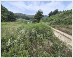  2025Ÿ��502787  ����