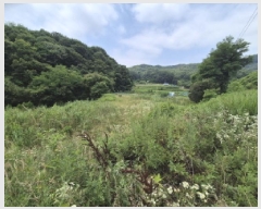  2025Ÿ��502787  ����