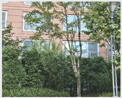  2025Ÿ��502868  ����Ʈ���