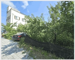  2025Ÿ��503142  ���������