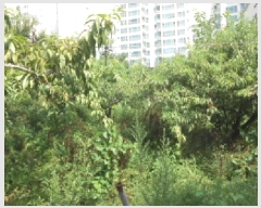  2025Ÿ��503142  ���������