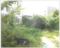  2025Ÿ��503142  ���������