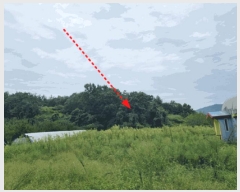  2025Ÿ��503292 ����Ư����ġ�� ������ �ַ��� 94-23       ����(�Ӿ�)���