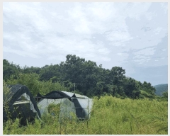  2025Ÿ��503292 ����Ư����ġ�� ������ �ַ��� 94-23       ����(�Ӿ�)���